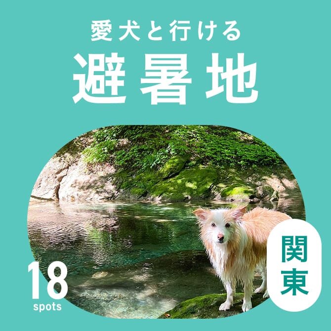 関東のおすすめ避暑地おでかけスポット18選｜犬連れOK
