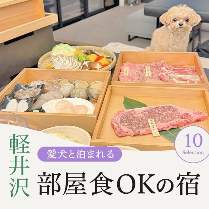 【軽井沢のペットと部屋食ができる宿】愛犬と部屋食OKの犬と泊まれる宿
