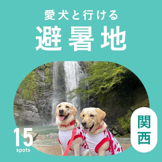 関西のおすすめ避暑地おでかけスポット15選｜犬連れOK