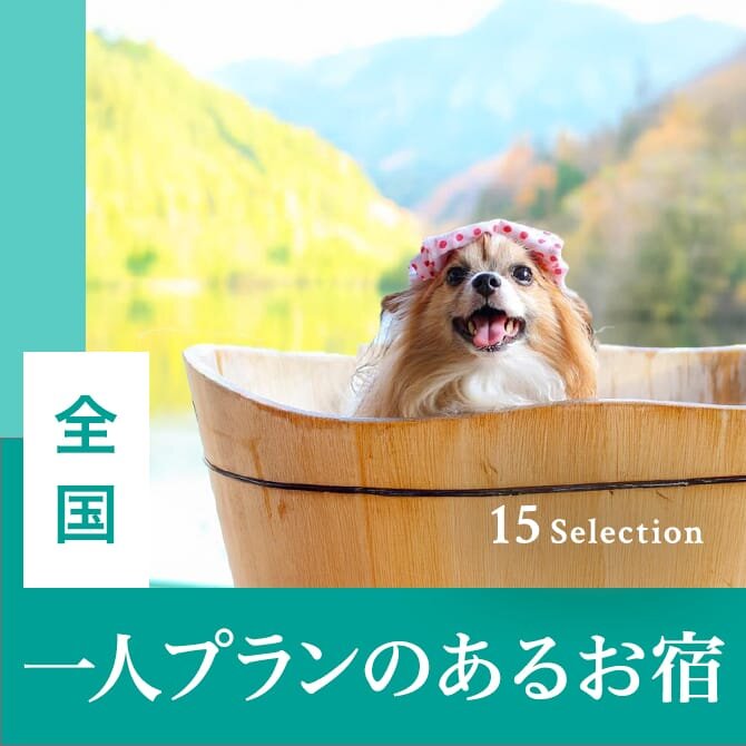犬と泊まれる一人プランのある宿
