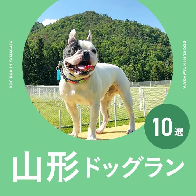 山形のドッグラン一覧まとめ｜無料や室内・カフェ併設ドッグラン