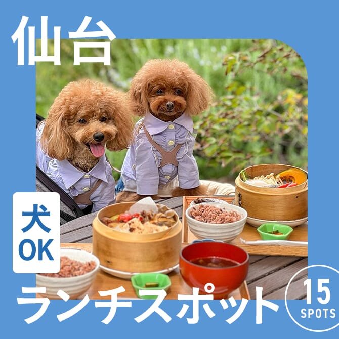 【仙台】犬連れでランチができるお店15選。ペット可・店内犬同伴OKカフェ。
