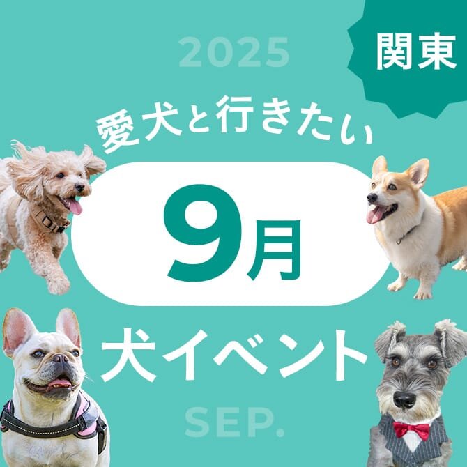 【2025年9月】関東で愛犬と行きたいドッグイベント9選