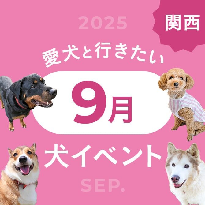 【2025年9月】関西で愛犬と行きたいドッグイベント6選