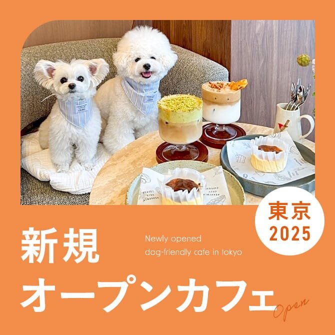 【新規オープンドッグカフェ】愛犬と行ける話題の最新カフェ