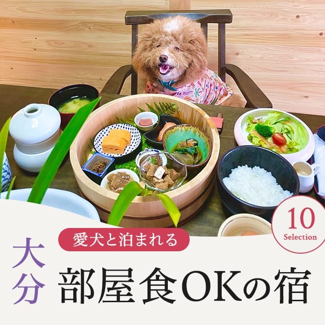 【大分のペットと部屋食ができる宿】愛犬と部屋食OKの犬と泊まれる宿