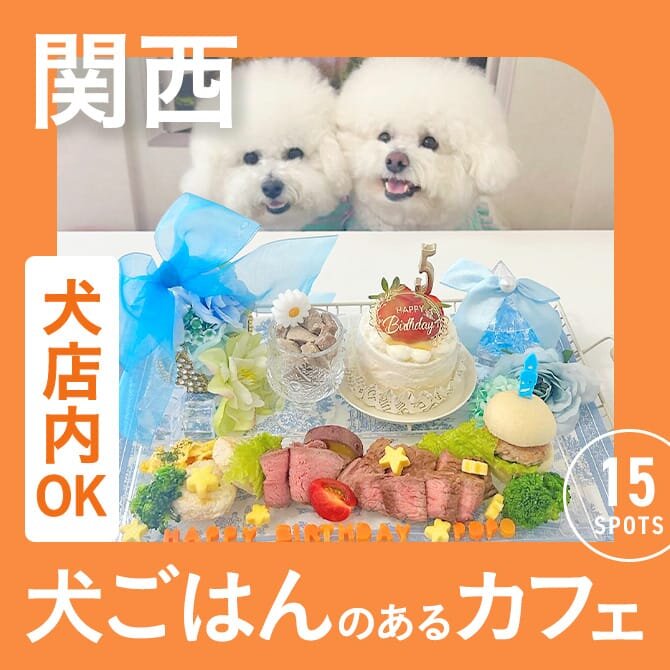 【関西】愛犬店内同伴OK・犬ご飯のあるカフェ