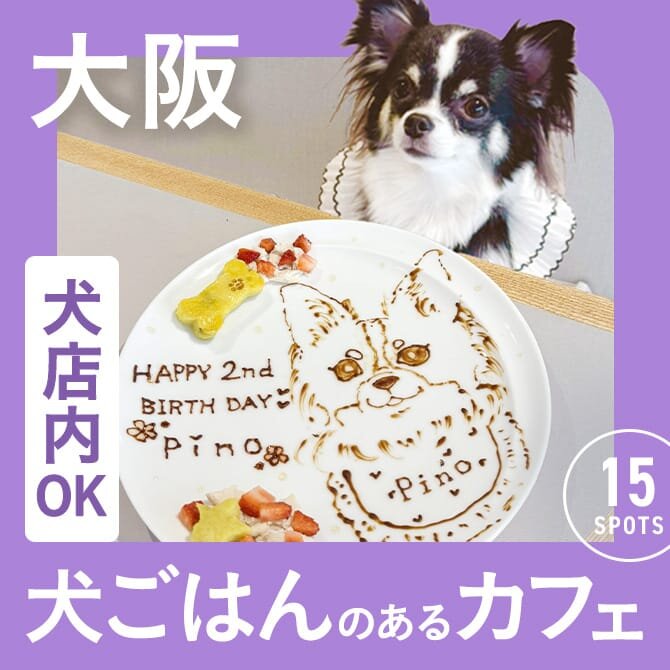 【大阪】愛犬店内同伴OK・犬ご飯のあるカフェ