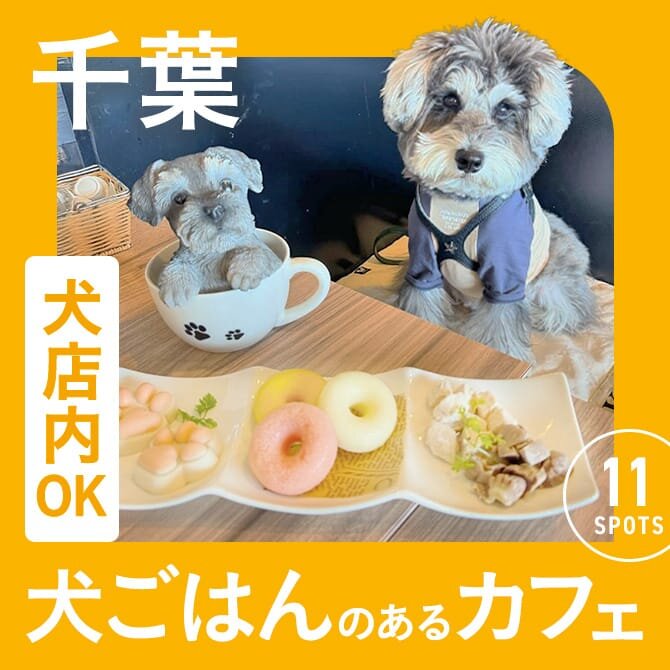 【千葉】愛犬店内同伴OK・犬ご飯のあるカフェ