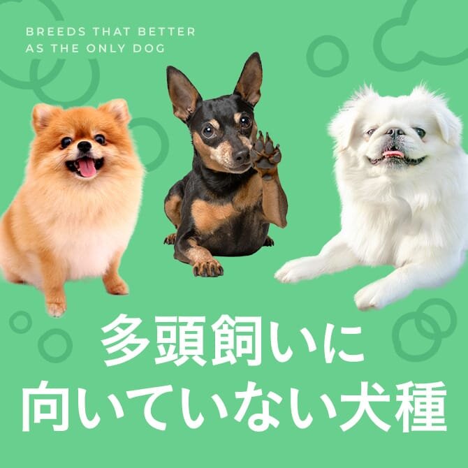 多頭飼いに向いてない犬種