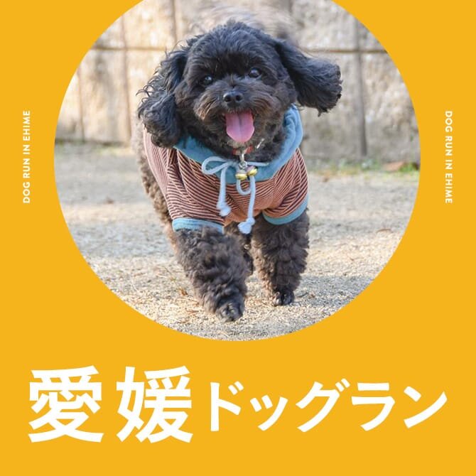 愛媛のドッグラン一覧まとめ｜無料や室内・カフェ併設ドッグラン