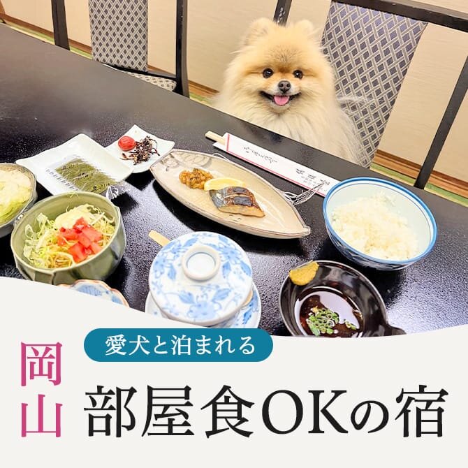 【岡山のペットと部屋食ができる宿】愛犬と部屋食OKの犬と泊まれる宿