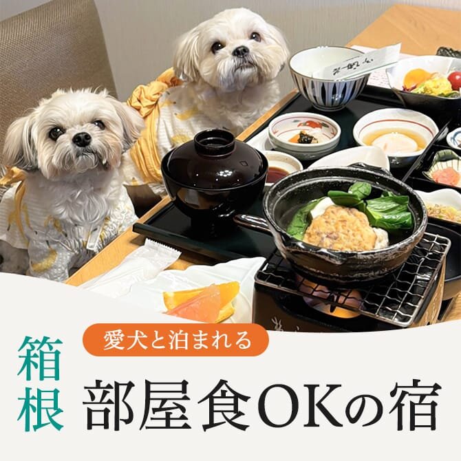 【箱根のペットと部屋食ができる宿】愛犬と部屋食OKの犬と泊まれる宿
