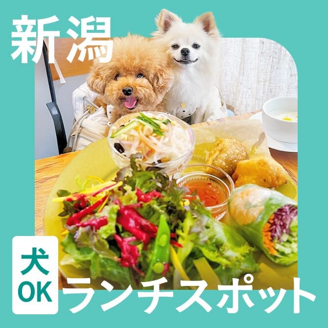 【新潟】犬連れでランチができるお店15選。ペット可・店内犬同伴OKカフェ。