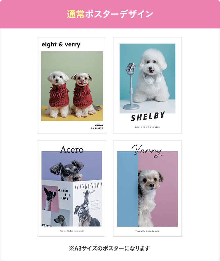 通常ポスターデザイン（A3サイズのポスターになります）