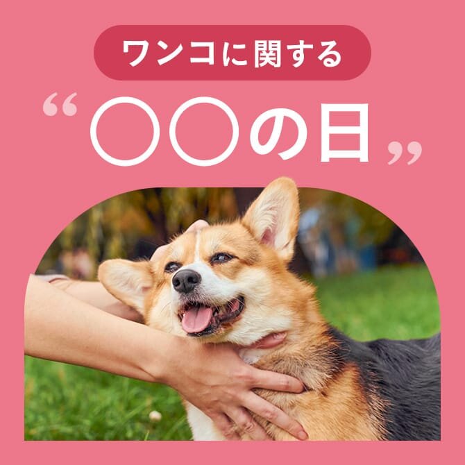 犬の日はいつ？犬に関する記念日まとめ一覧