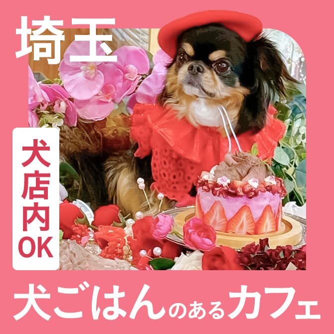 【埼玉】愛犬店内同伴OK・犬ご飯のあるカフェ