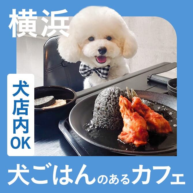 【横浜】愛犬店内同伴OK・犬ご飯のあるカフェ