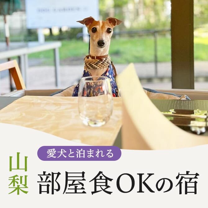 【山梨で部屋食ができる犬と泊まれる宿 】部屋食OKのペットと泊まれる宿 山梨一覧