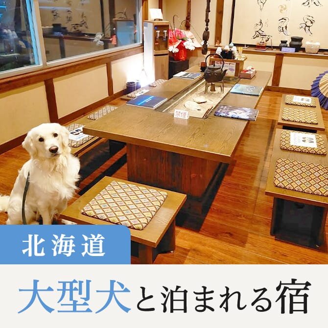 【北海道の大型犬と泊まれる宿】大型犬に人気の北海道の宿一覧
