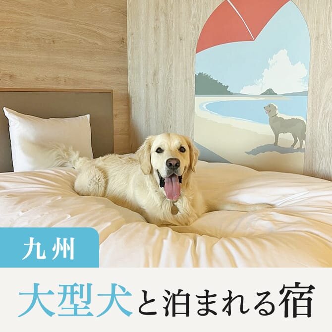 【九州の大型犬と泊まれる宿】大型犬に人気の九州の宿一覧