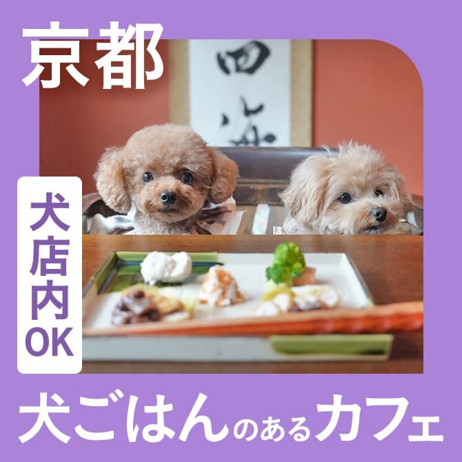【京都】愛犬店内同伴OK・犬ご飯のあるカフェ