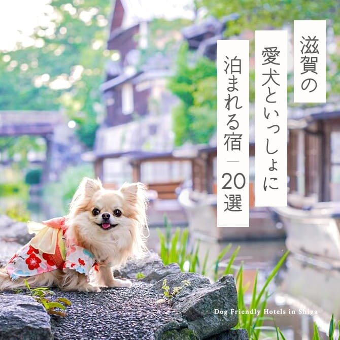 【滋賀 ペットと泊まれる宿20選】滋賀・琵琶湖の犬と泊まれる宿。人気のコテージやホテル