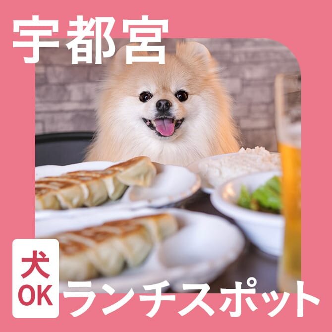 【宇都宮】犬連れでランチできるカフェまとめ！ペット可・店内犬同伴OKのお店