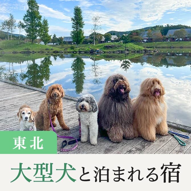 【東北の大型犬と泊まれる宿】大型犬に人気の東北の宿一覧