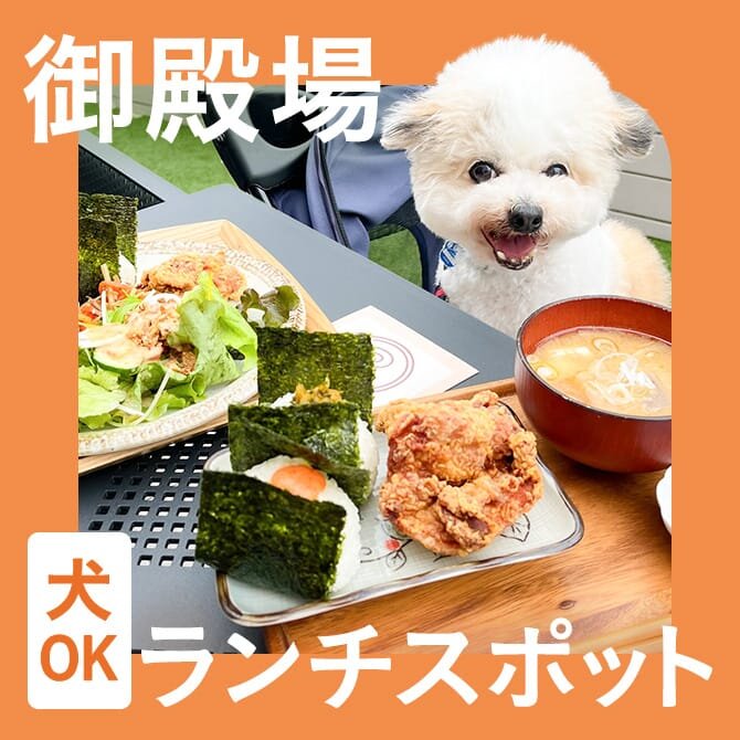 【御殿場】犬連れでランチできるカフェまとめ！ペット可・店内犬同伴OKのお店