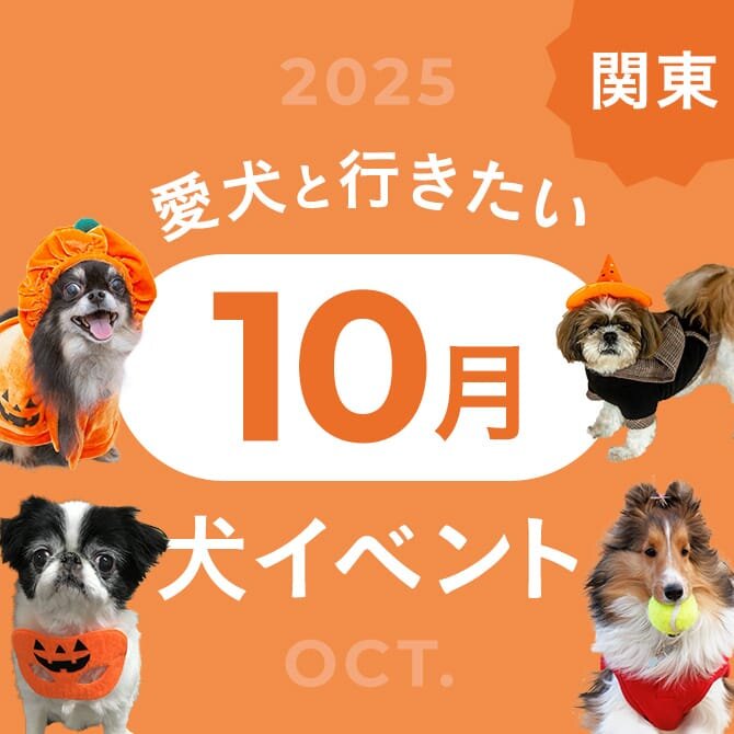 【2025年10月】関東で愛犬と行きたいドッグイベント21選