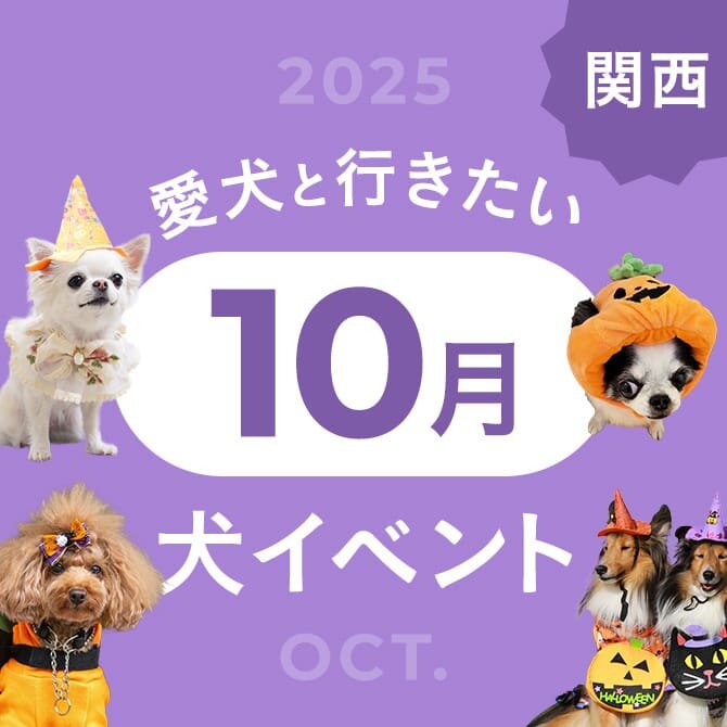 【2025年10月】関西で愛犬と行きたいドッグイベント20選
