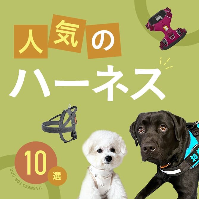 犬のおすすめハーネス10選！おしゃれで人気のデザインや機能・選び方もご紹介