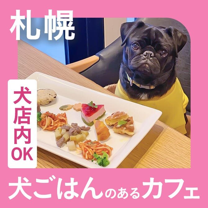 【札幌】愛犬店内同伴OK・犬ご飯のあるカフェ