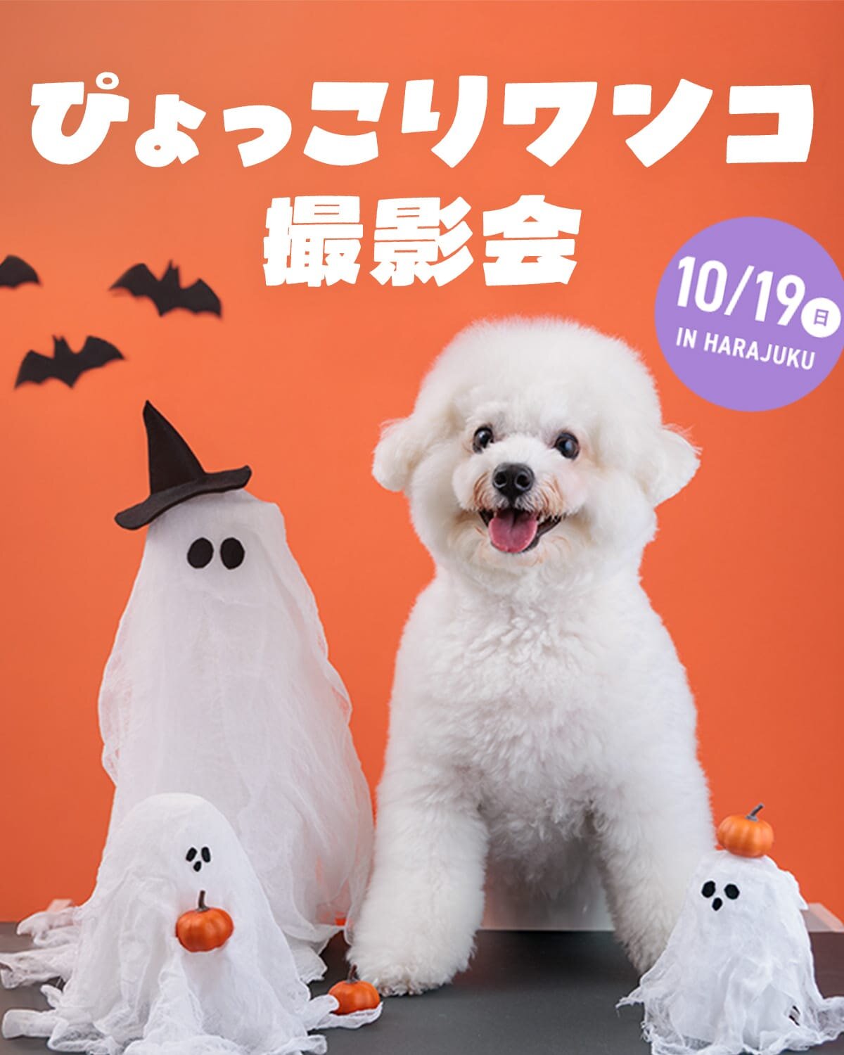 オーダー受付　6犬種わんこ　ご予約ページ　7/26 オーダー受付 6犬種わんこ ご予約ページ 7/27 - メルカリ