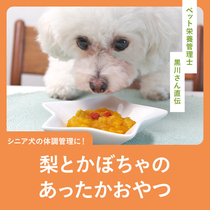 【シニア犬の体調管理に薬膳レシピ】愛犬のための「梨とかぼちゃのあったかおやつ」