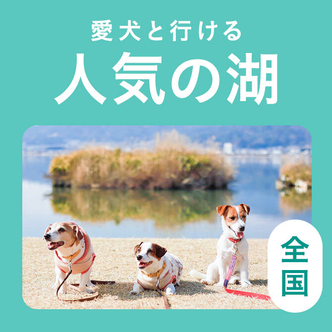 愛犬と行ける湖まとめ一覧
