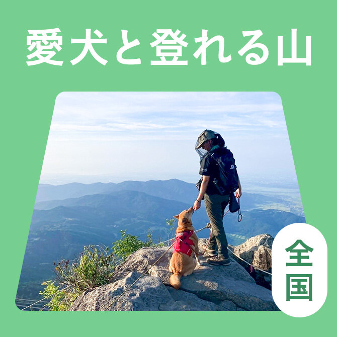 犬と一緒に登れる全国の山まとめ一覧