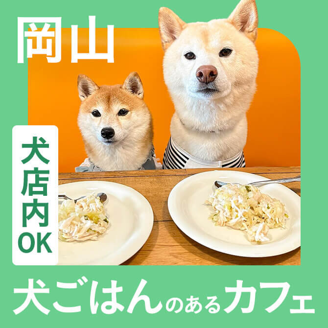 【岡山】愛犬店内同伴OK・犬ご飯のあるカフェ
