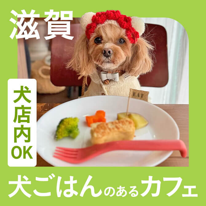 【滋賀】愛犬店内同伴OK・犬ご飯のあるカフェ