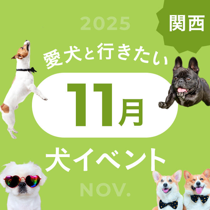 【2025年11月】関西で愛犬と行きたいドッグイベント20選