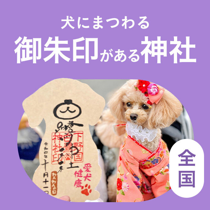 【全国】犬の御朱印や御朱印帳があるお寺と神社まとめ一覧
