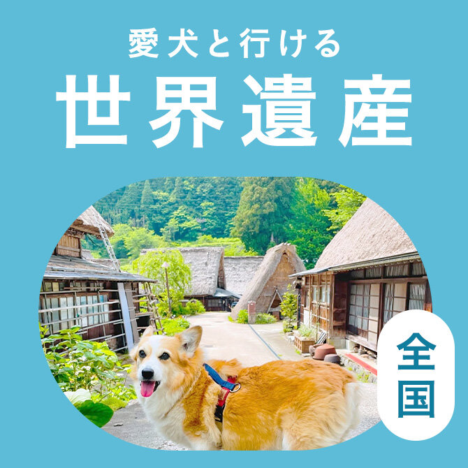 愛犬と行ける全国の世界遺産まとめ一覧