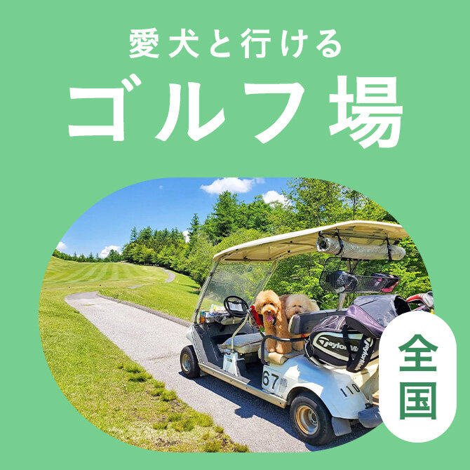 犬連れで回れる全国のゴルフ場まとめ一覧