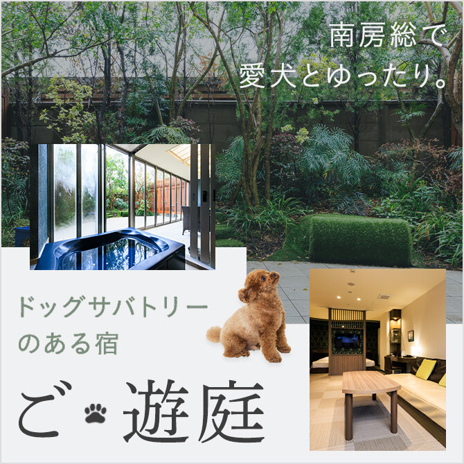 【Dogサバトリーのある宿 ご・遊庭（南房総）】全室プライベートガーデンとサバトリーが付きの人気宿に潜入取材！
