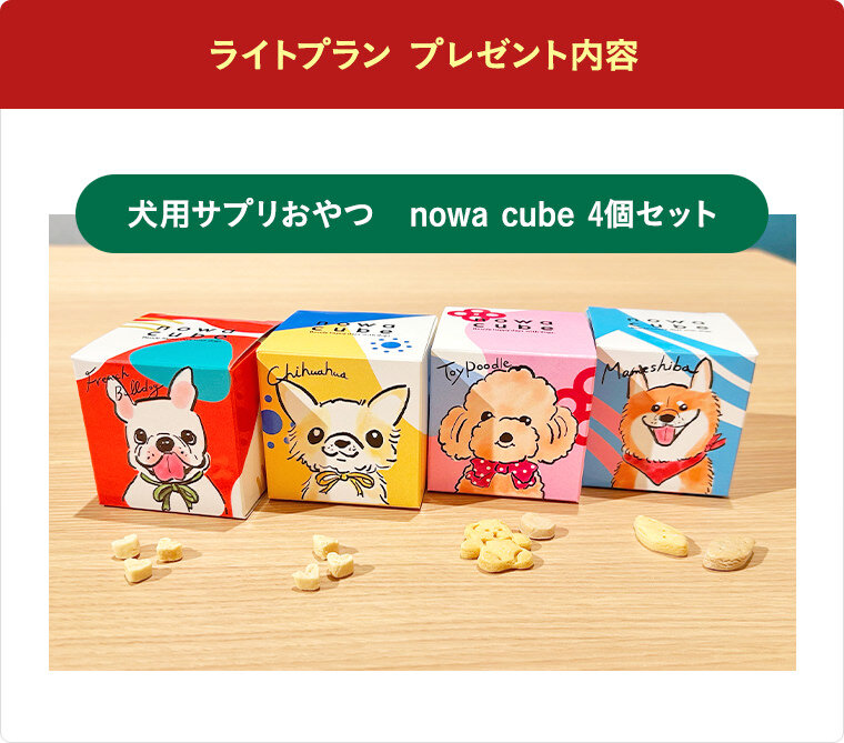 ライトプラン プレゼント内容：犬用サプリおやつ nowa cube 4個セット