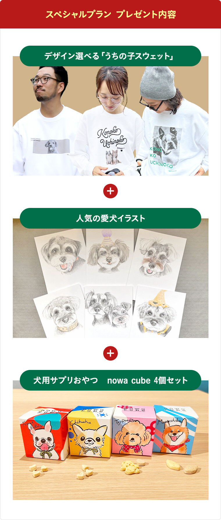 スペシャルプラン プレゼント内容：デザイン選べる「うちの子スウェット」、人気の愛犬イラスト、犬用サプリおやつ nowa cube 4個セット