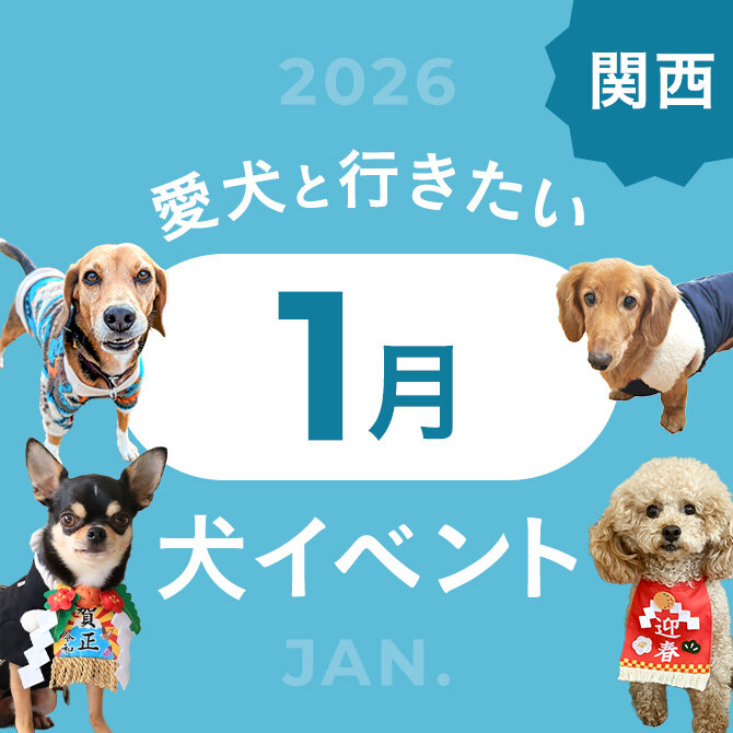 【2026年1月】関西で愛犬と行きたいドッグイベント4選