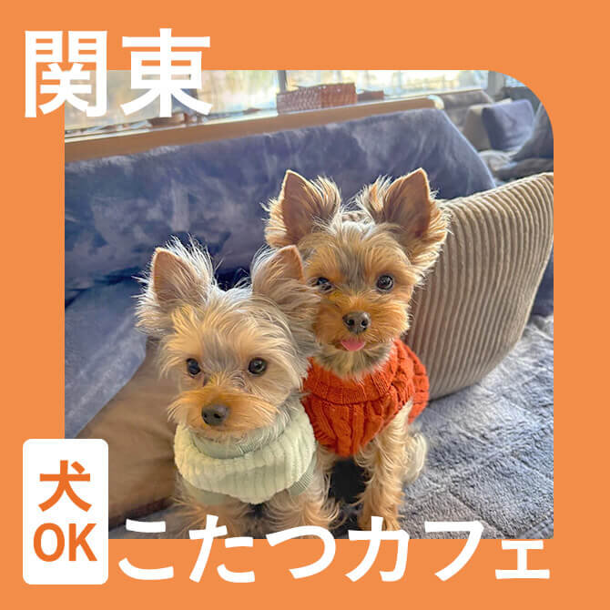 【関東】こたつがあるカフェ7選