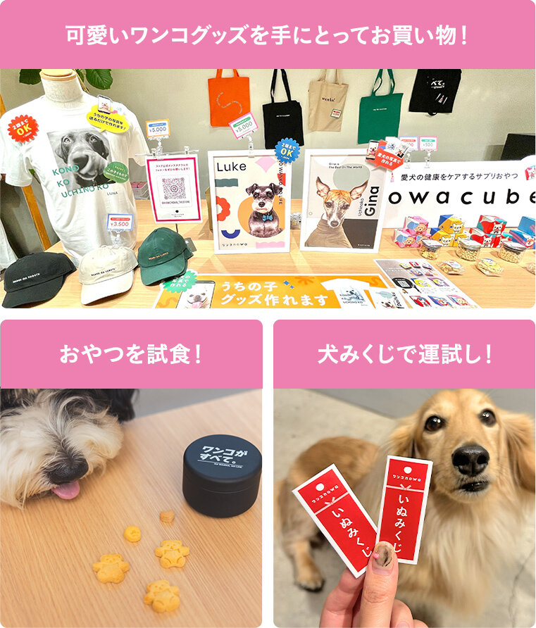 可愛いワンコグッズを手に取ってお買い物！おやつを試食！犬みくじで運試し！